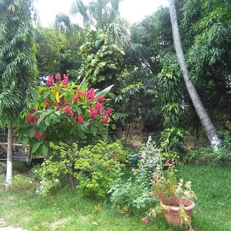 Hostal Casa Vieja Chiquimula 外观 照片