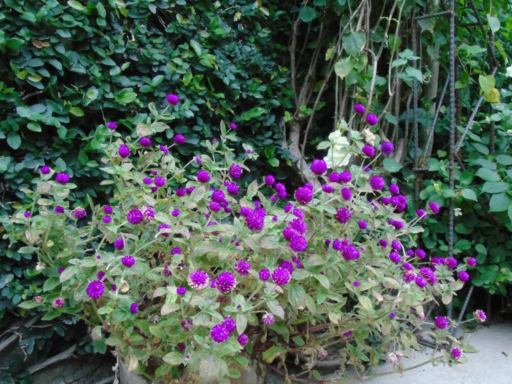 Hostal Casa Vieja Chiquimula 外观 照片