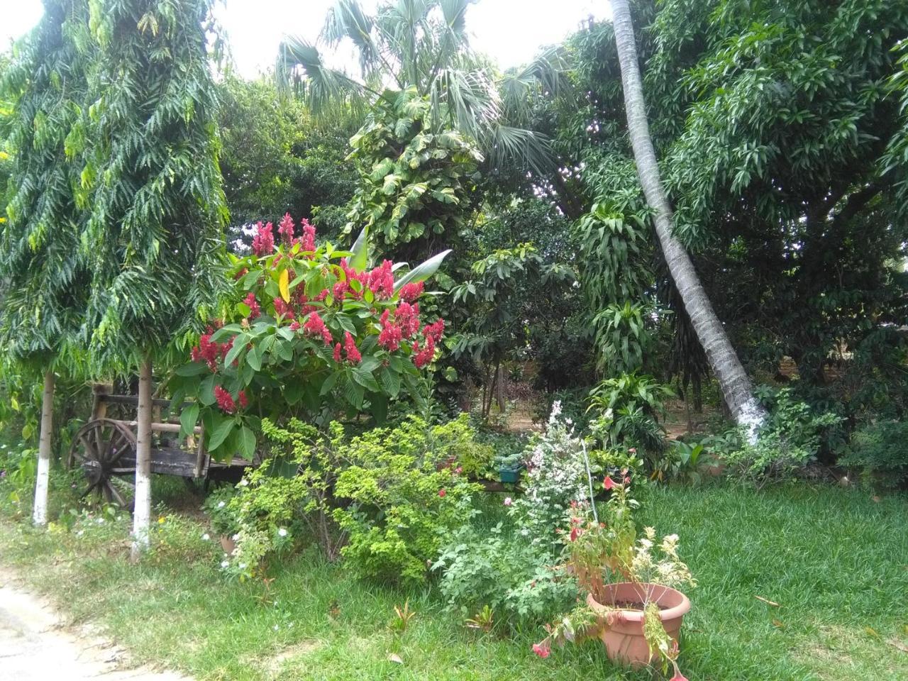 Hostal Casa Vieja Chiquimula 外观 照片